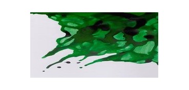 WINSOR & NEWTON TINTA DE DIBUJO VERDE BRILLANTE Nº 046