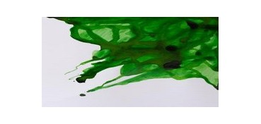 WINSOR & NEWTON TINTA DE DIBUJO VERDE MANZANA Nº 011