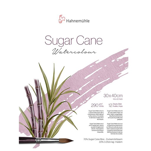 HAHNEMÜHLE SUGAR CANE WATERCOLOUR - BLOC ACUARELA PAPEL CAÑA DE AZUCAR 290 G