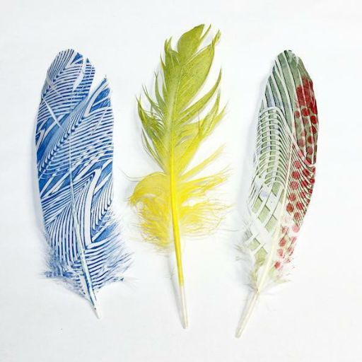 GELLI ARTS FEATHER PRINTING KIT - KIT DE IMPRESIÓN PLUMAS