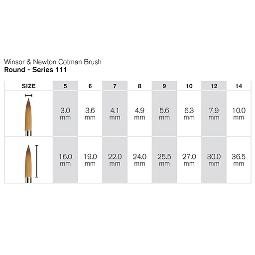 PINCEL WINSOR & NEWTON COTMAN REDONDO SERIE 111